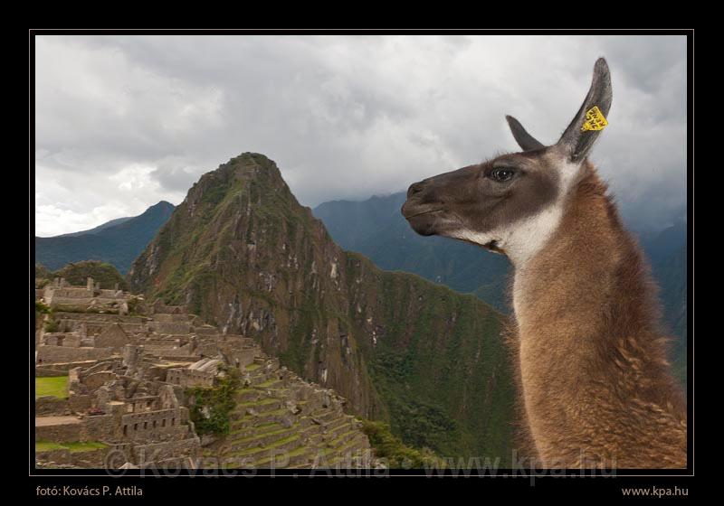 Machu Piccu 075.jpg